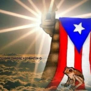 Meet your Posher, Judith